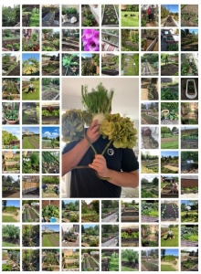 Veg Patch PR - Fantastic Others