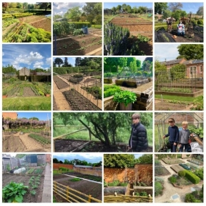 Veg Patch PR - Highly Commended